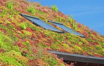 Ashmanhaugh living roof systems